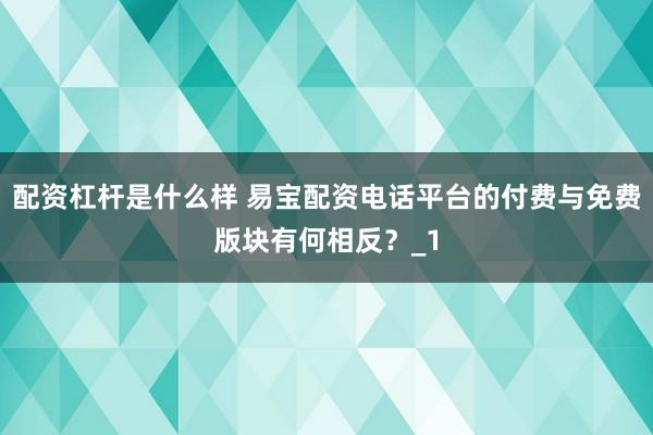 配资杠杆是什么样 易宝配资电话平台的付费与免费版块有何相反？_1